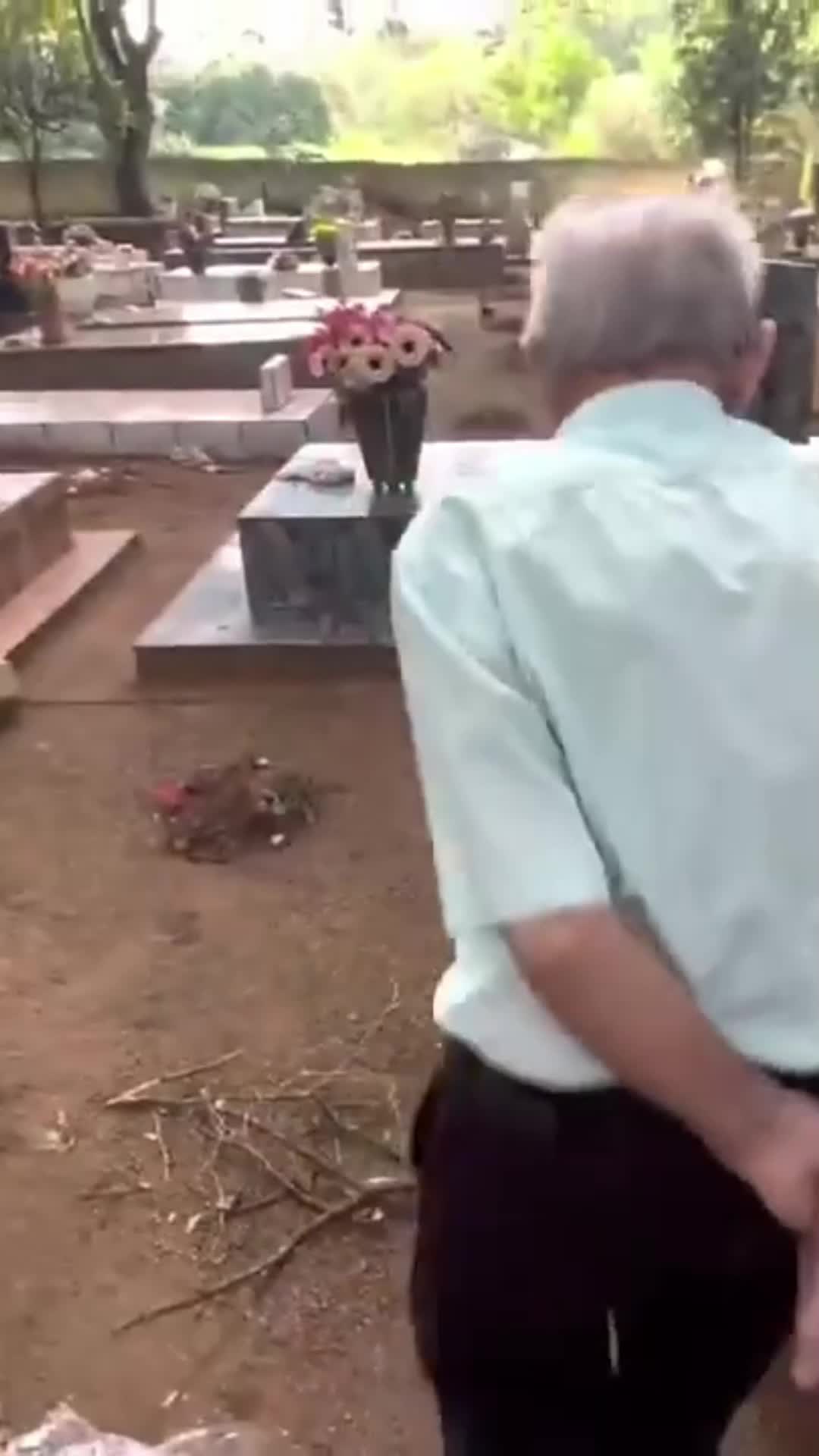 @Caio Fiori Dias