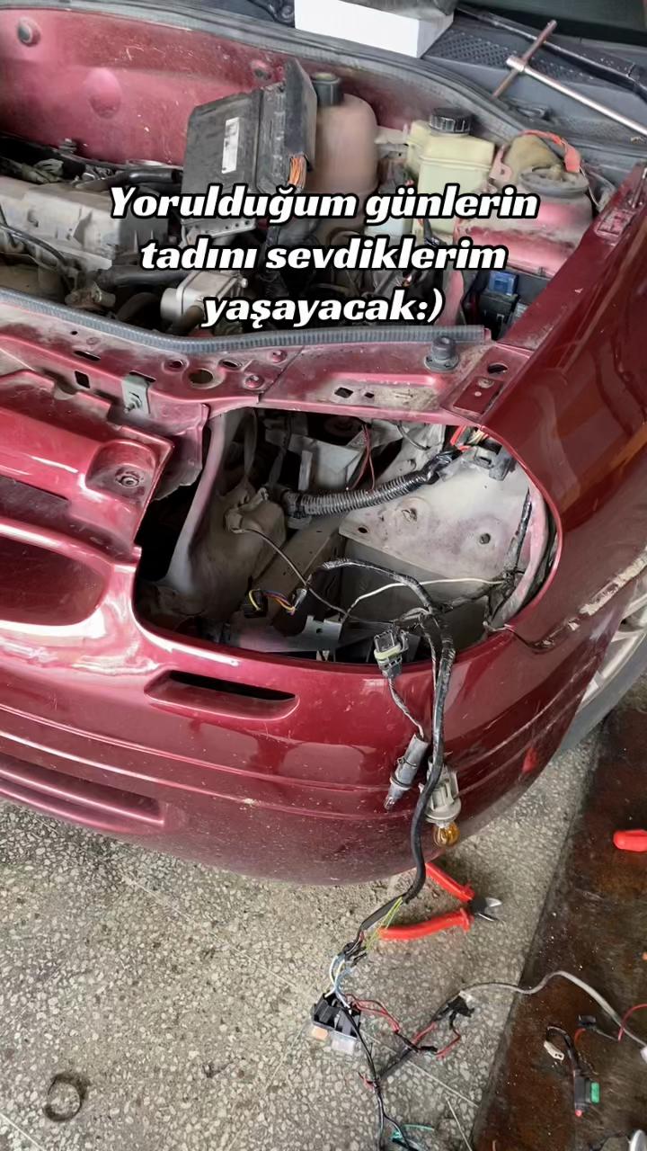 @ᴇʜʟɪ