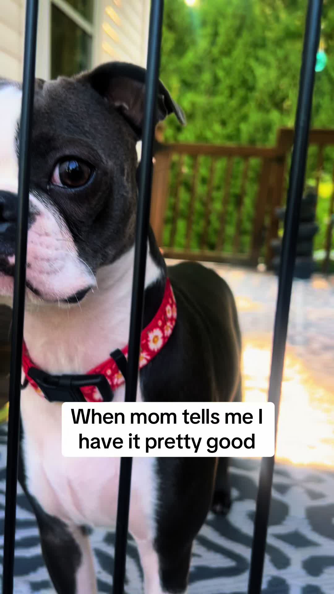 @Lily Grace &Loganbowties