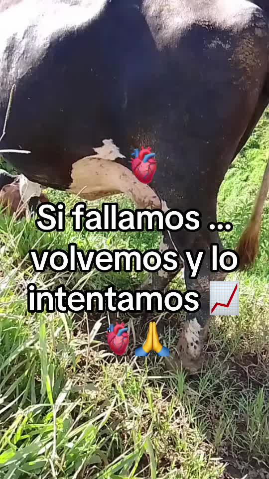 @Gaby herrera