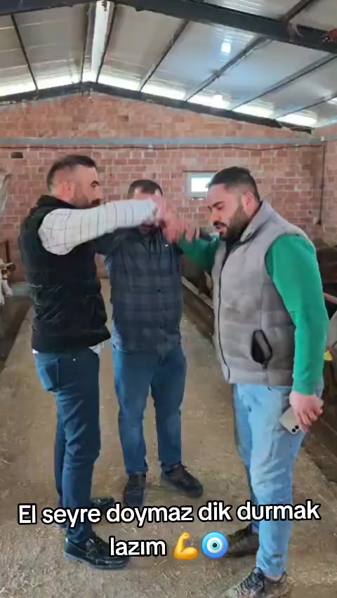 @COŞKUN HAYVANCILIK ÇORUM 19