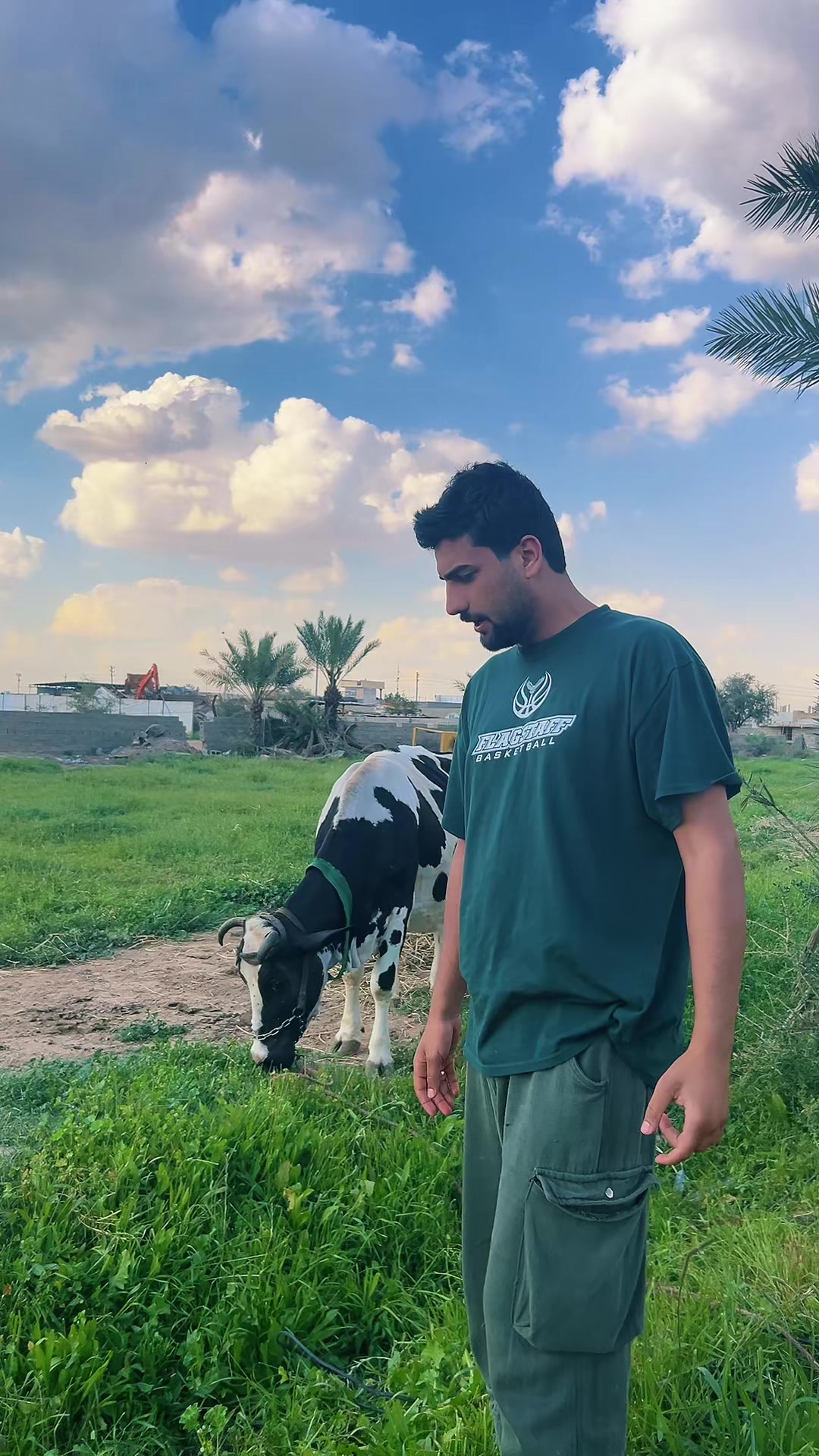 @عبوسي السيد