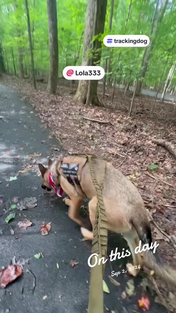 @Lola333