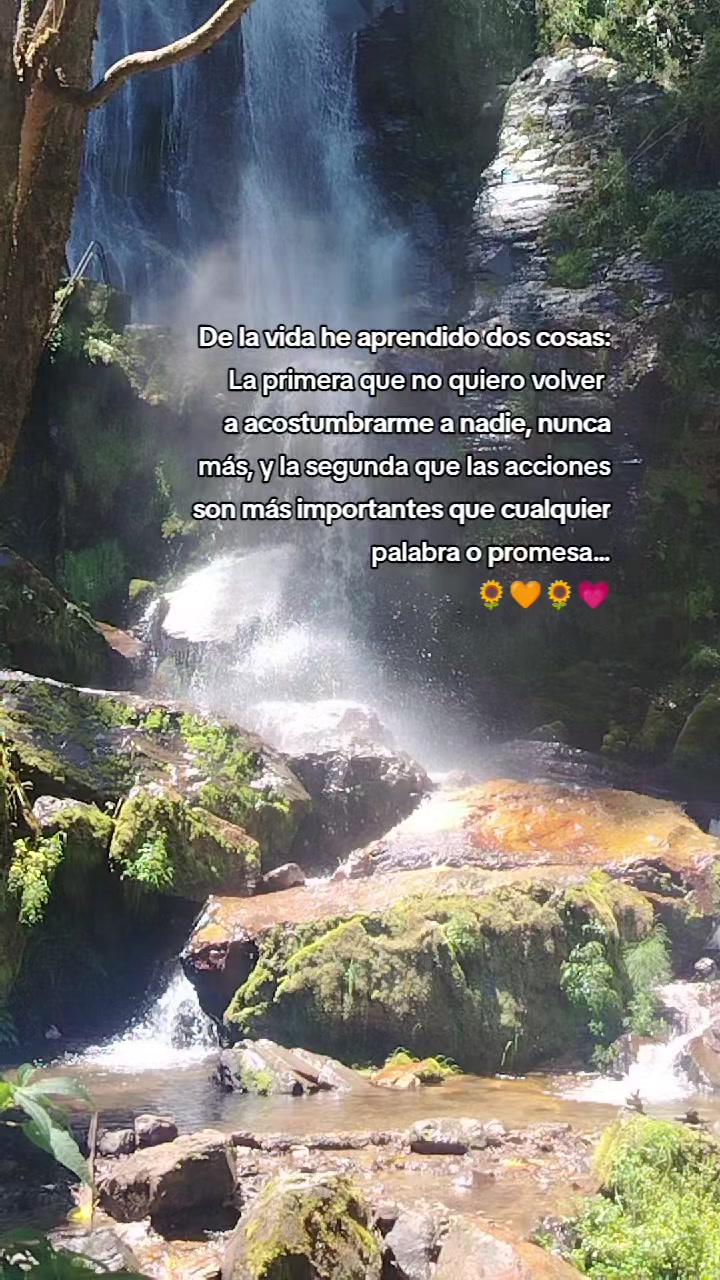 @Mely Jime