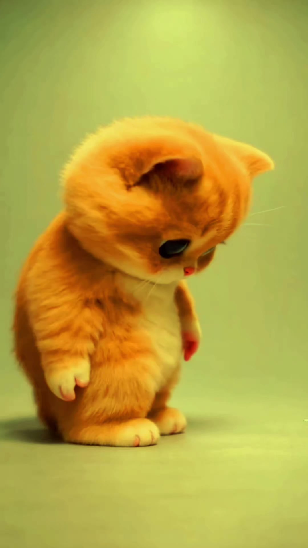 @mufaza