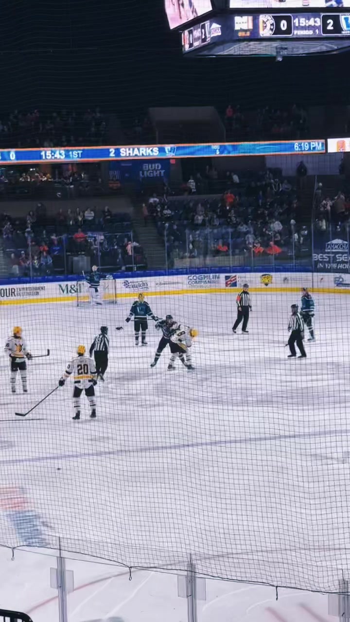 @Beautlifehockey