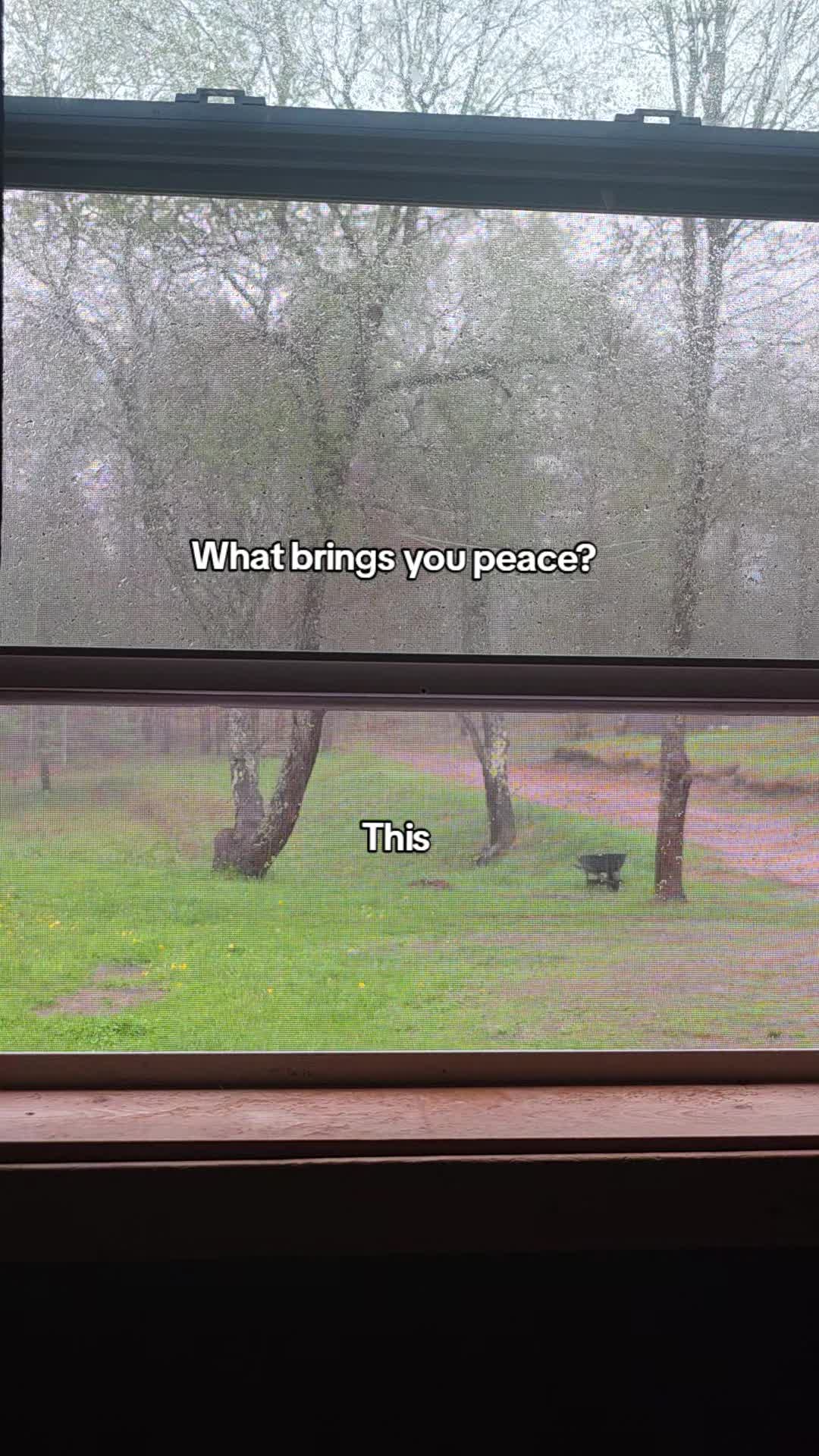 @Catherine Carpenter