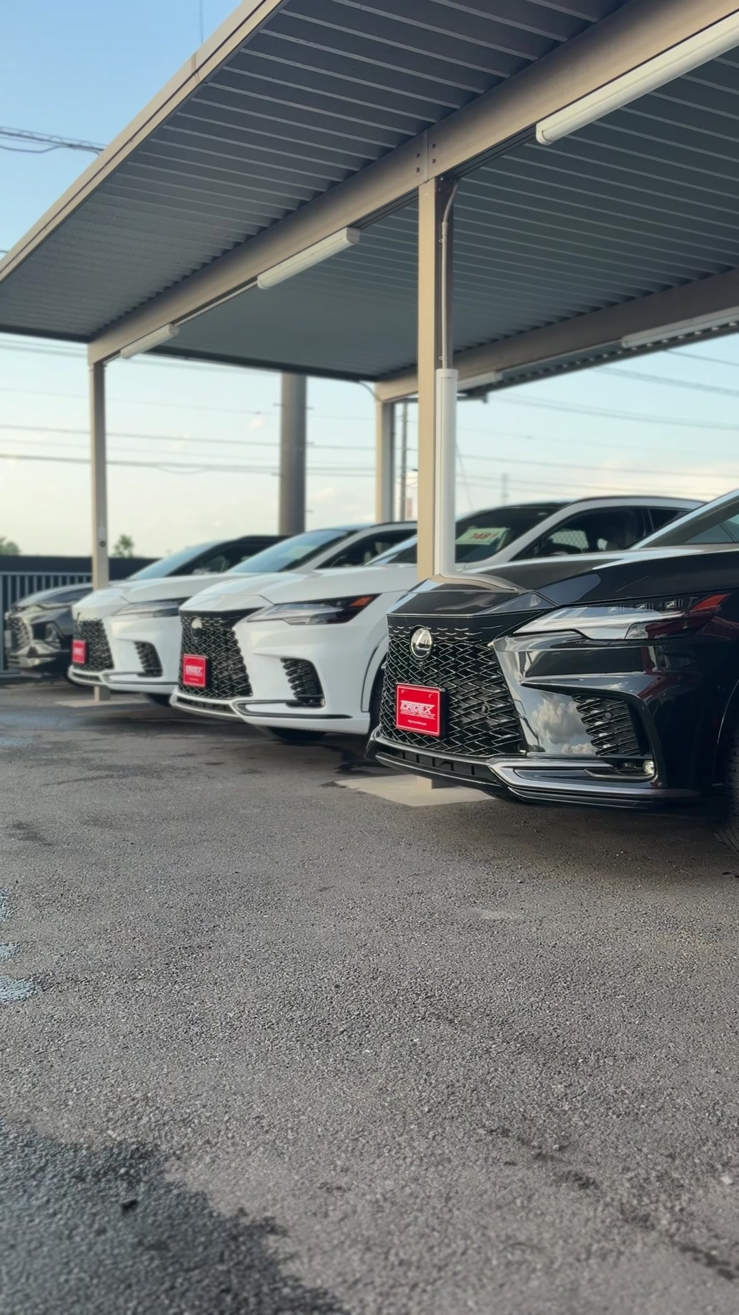 @アメ車専門店トリデックス
