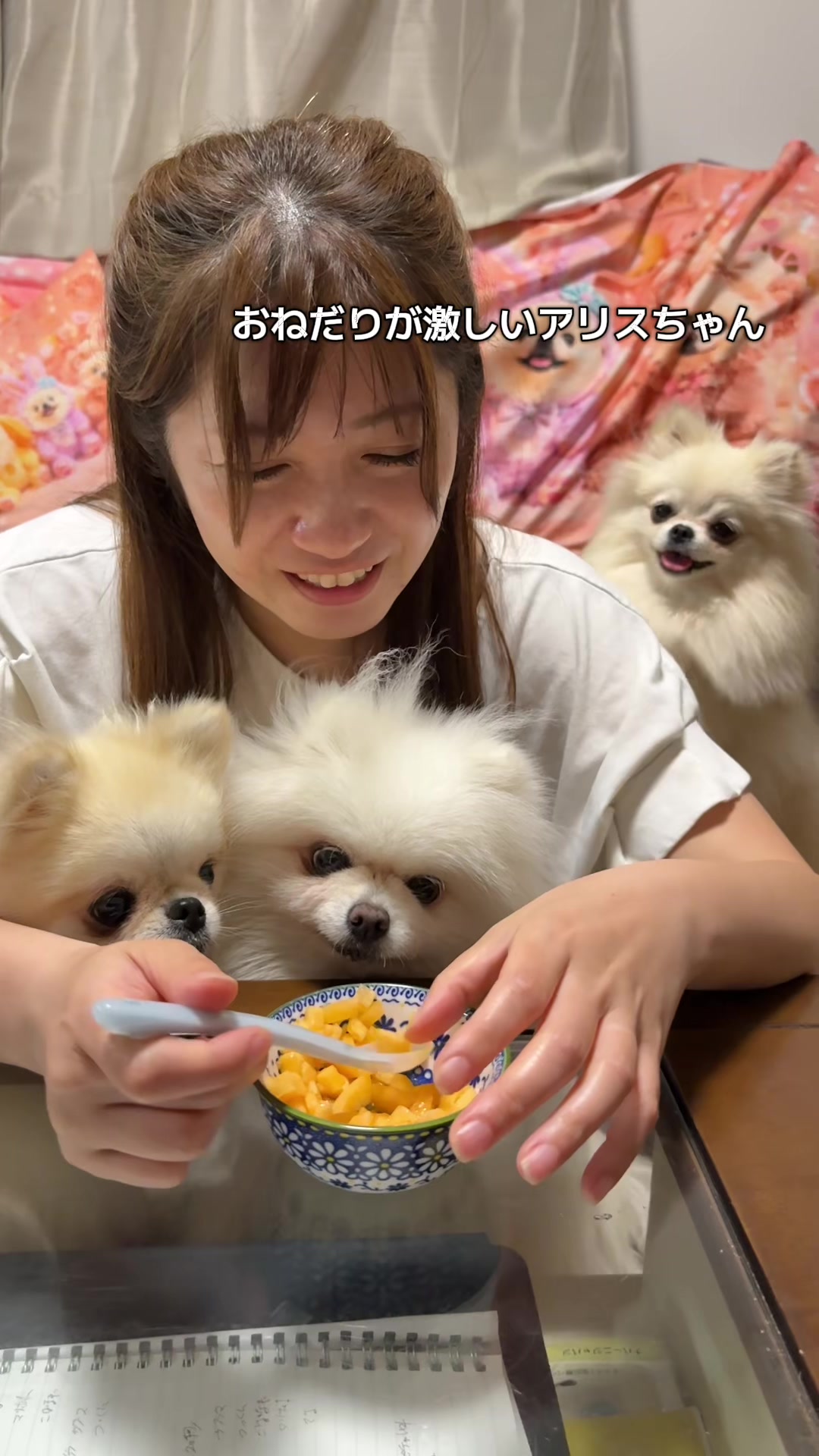 @なべちゃんチ🚐🐶🍊