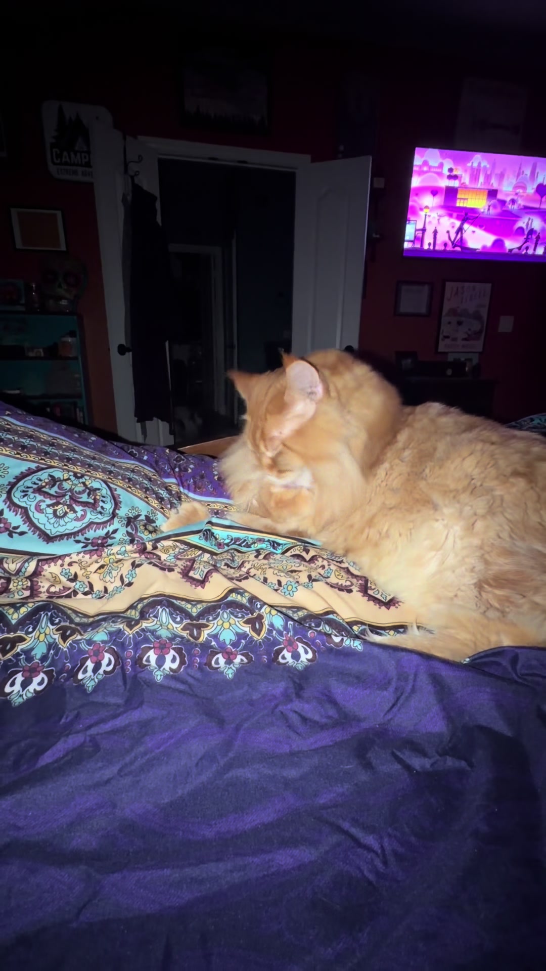 @Theodore Scritches McWiggles