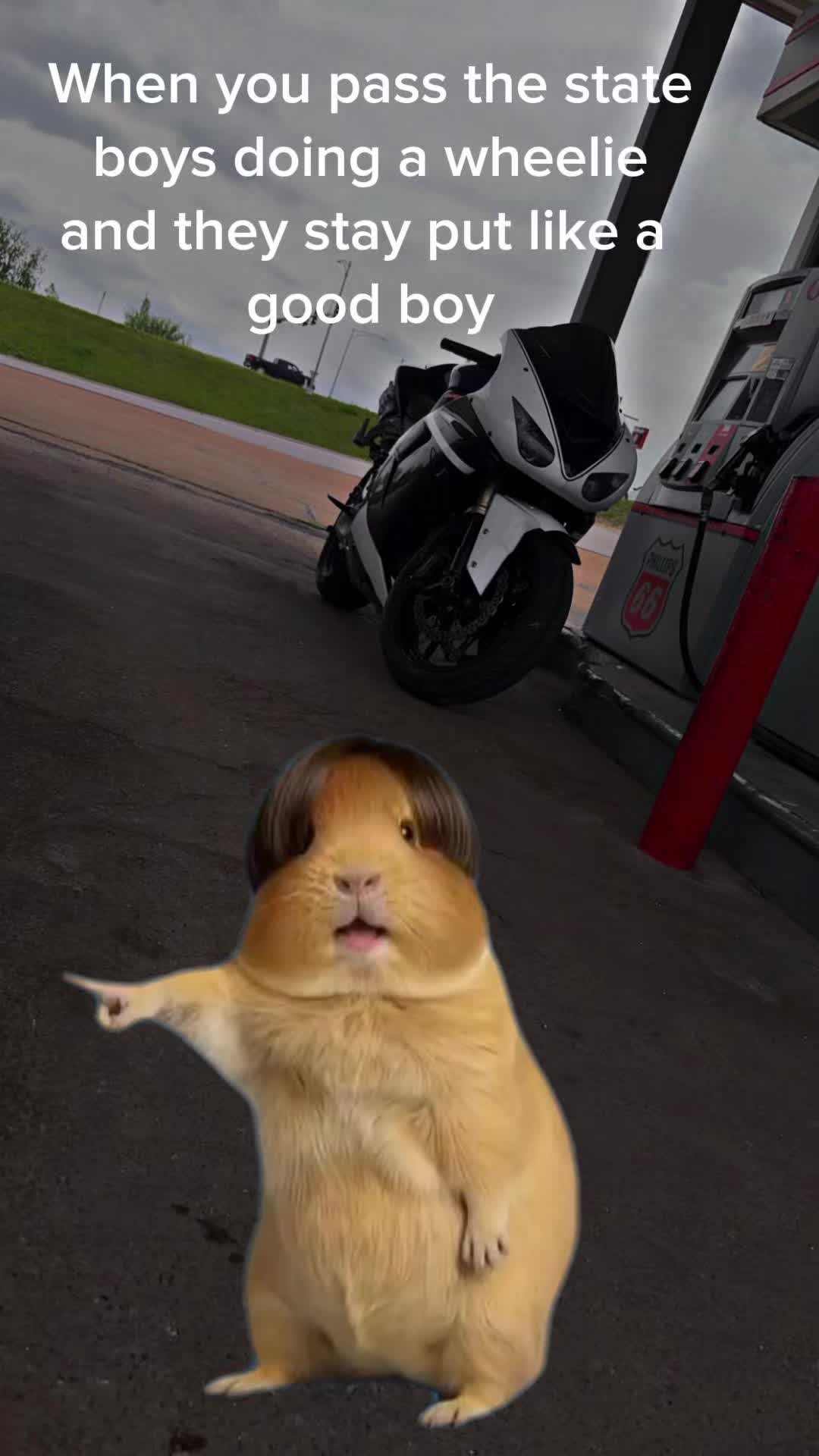@moto.dojo