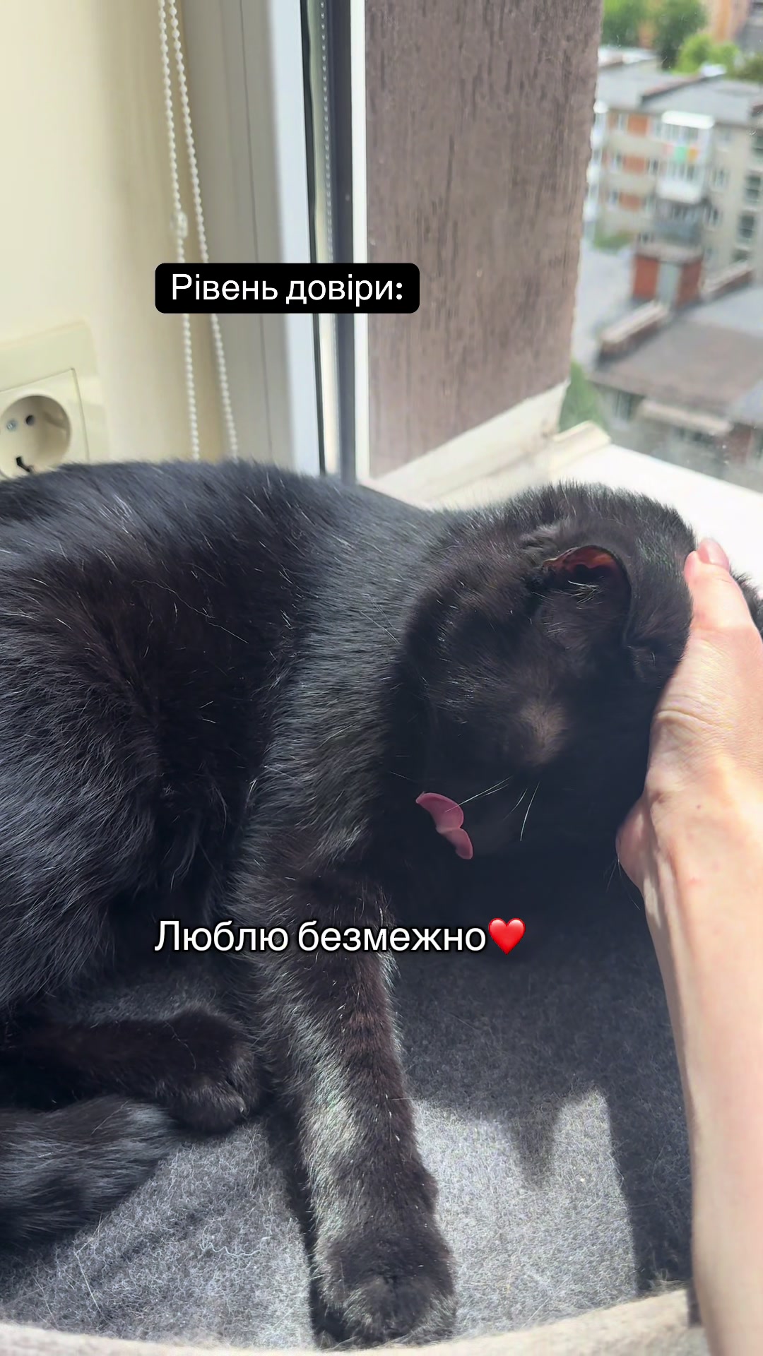 @Корнелія Удовенко