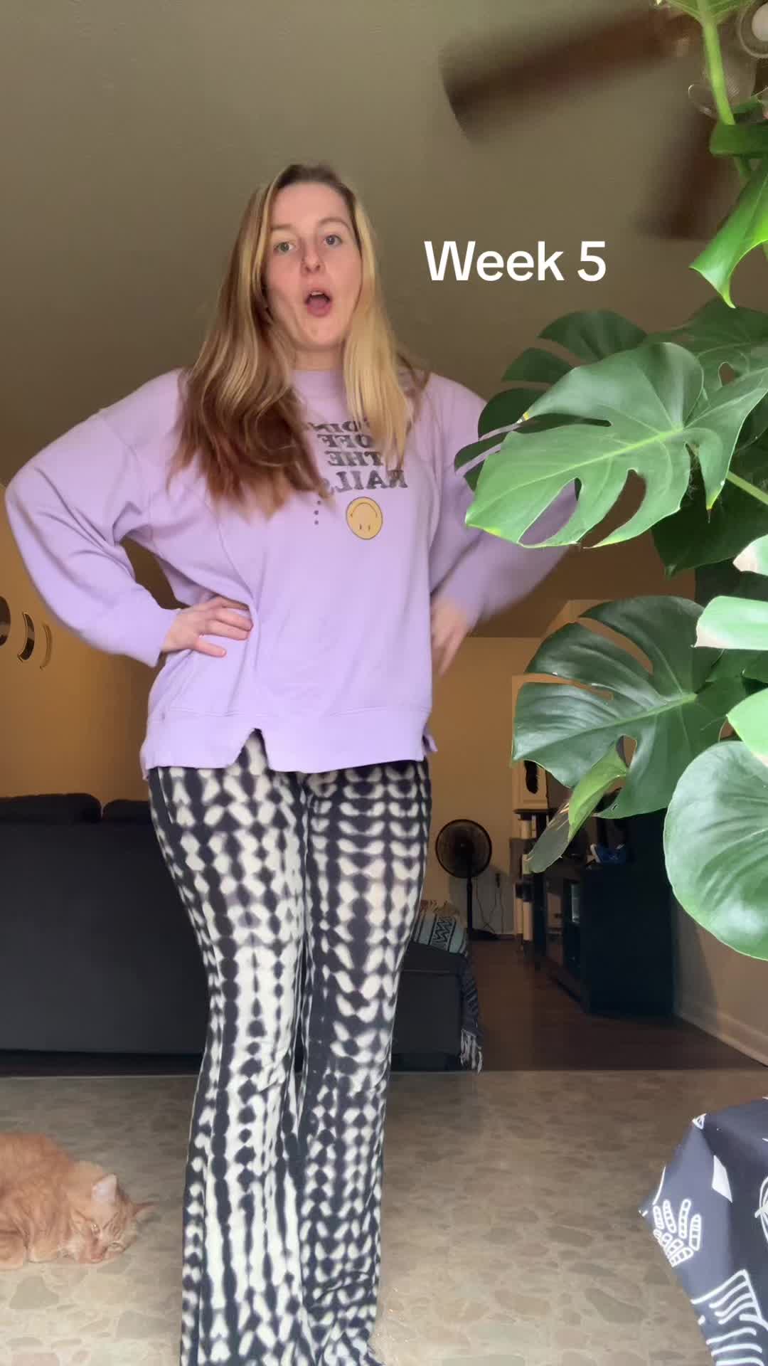 @wutinthehales