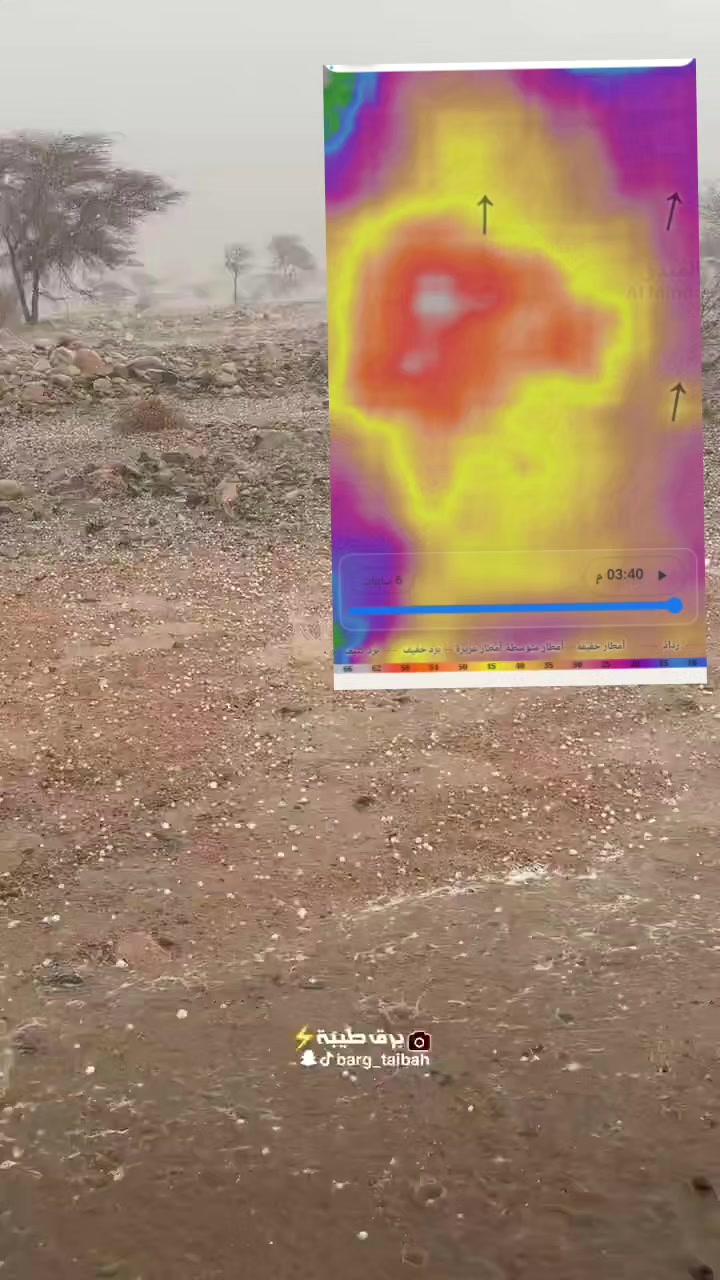 @آبووسآم برق آلَساحل⚡️⛈️