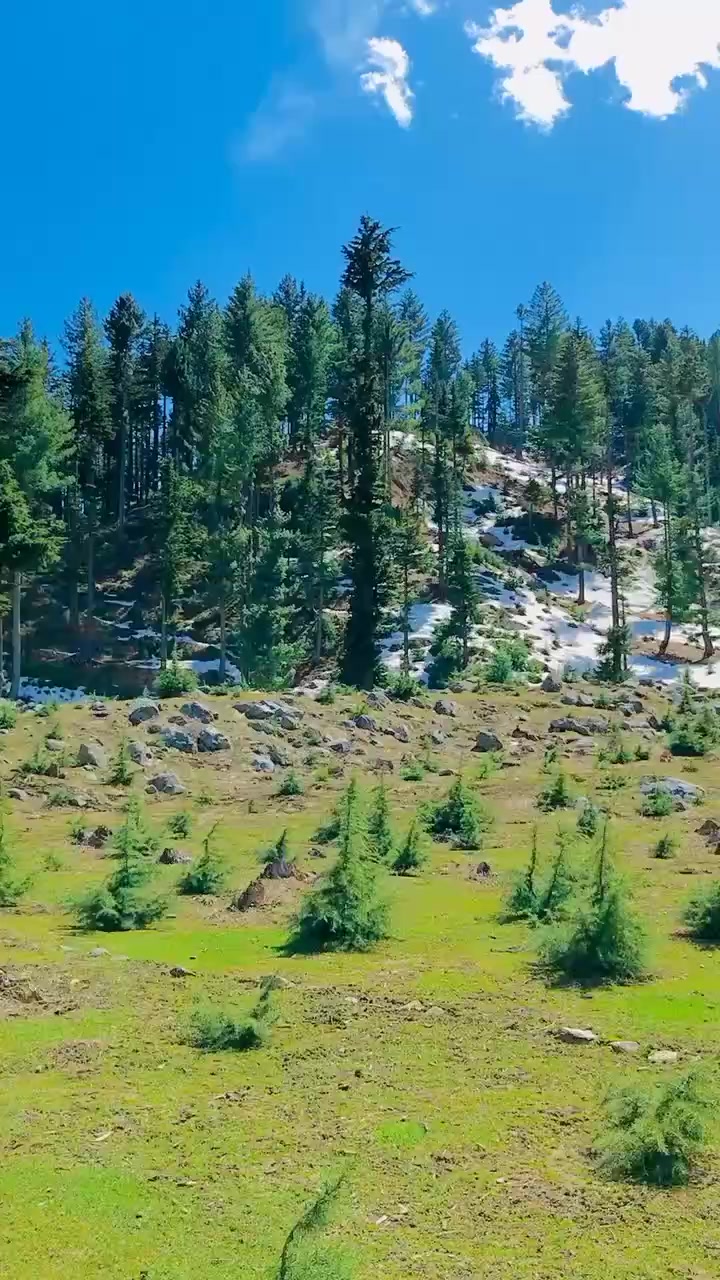 @☠۔۔۔چوہدری سمیر پڈھیار۔۔۔😎