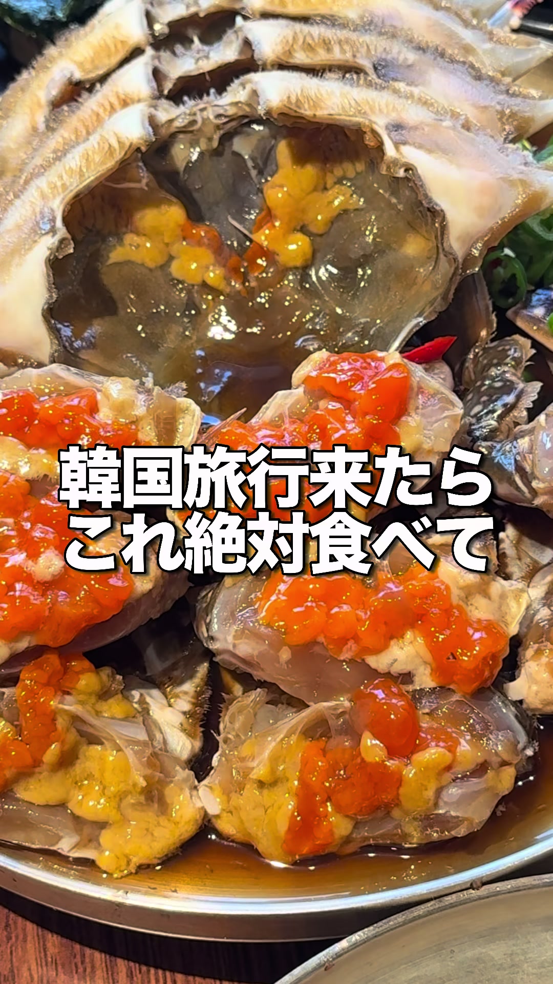 @🍖코토おにく🤎