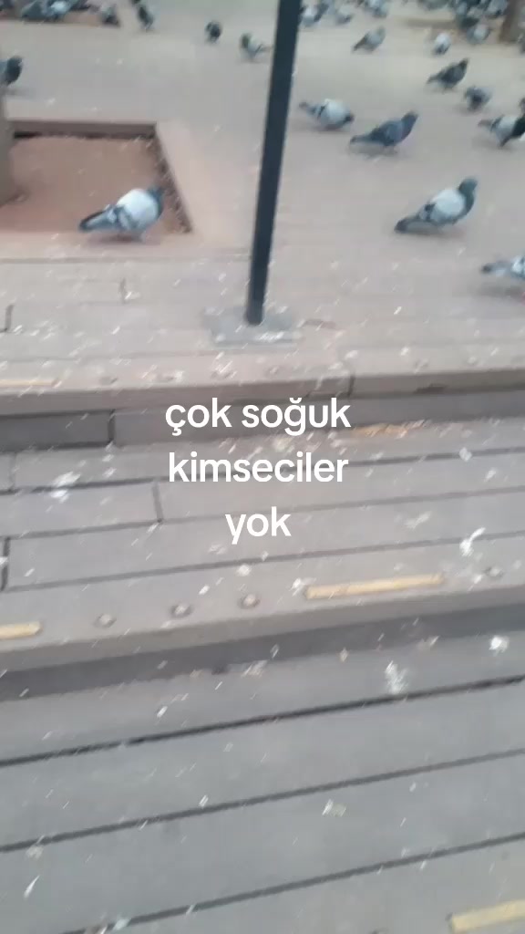 @ayşe _hatice 2626