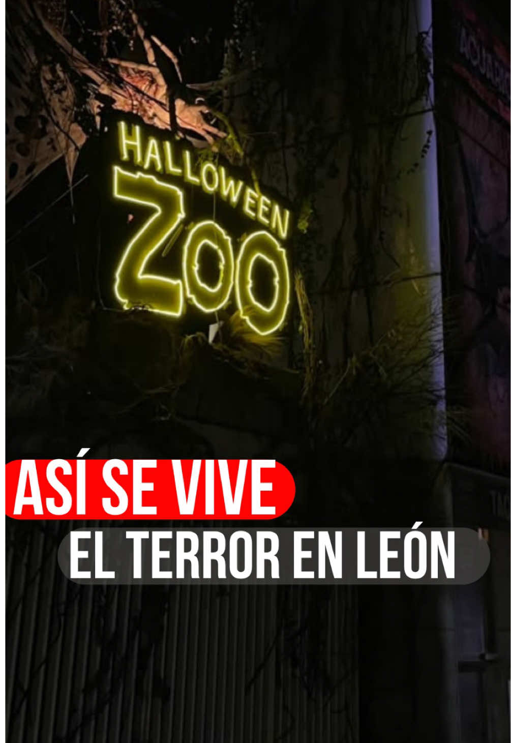 @Así Sucede León Noticias