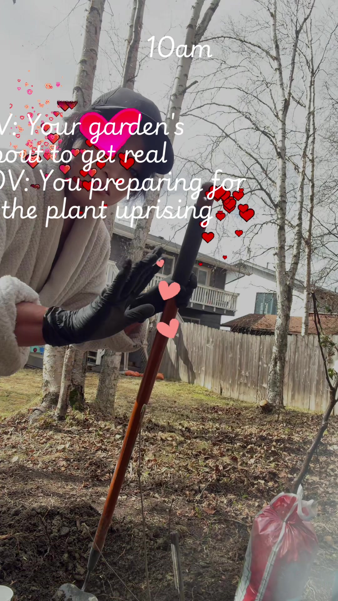 @rose