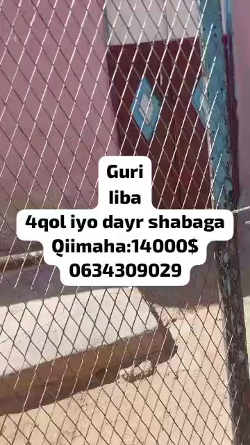 @xamda dagan