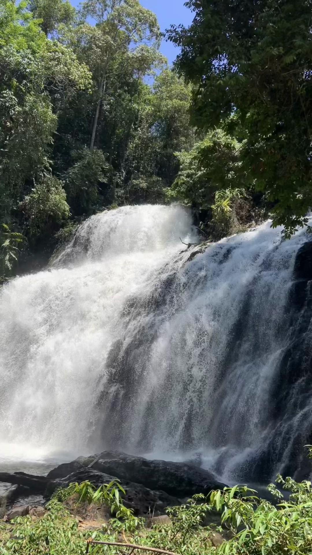 @Alexx sipenjelajah