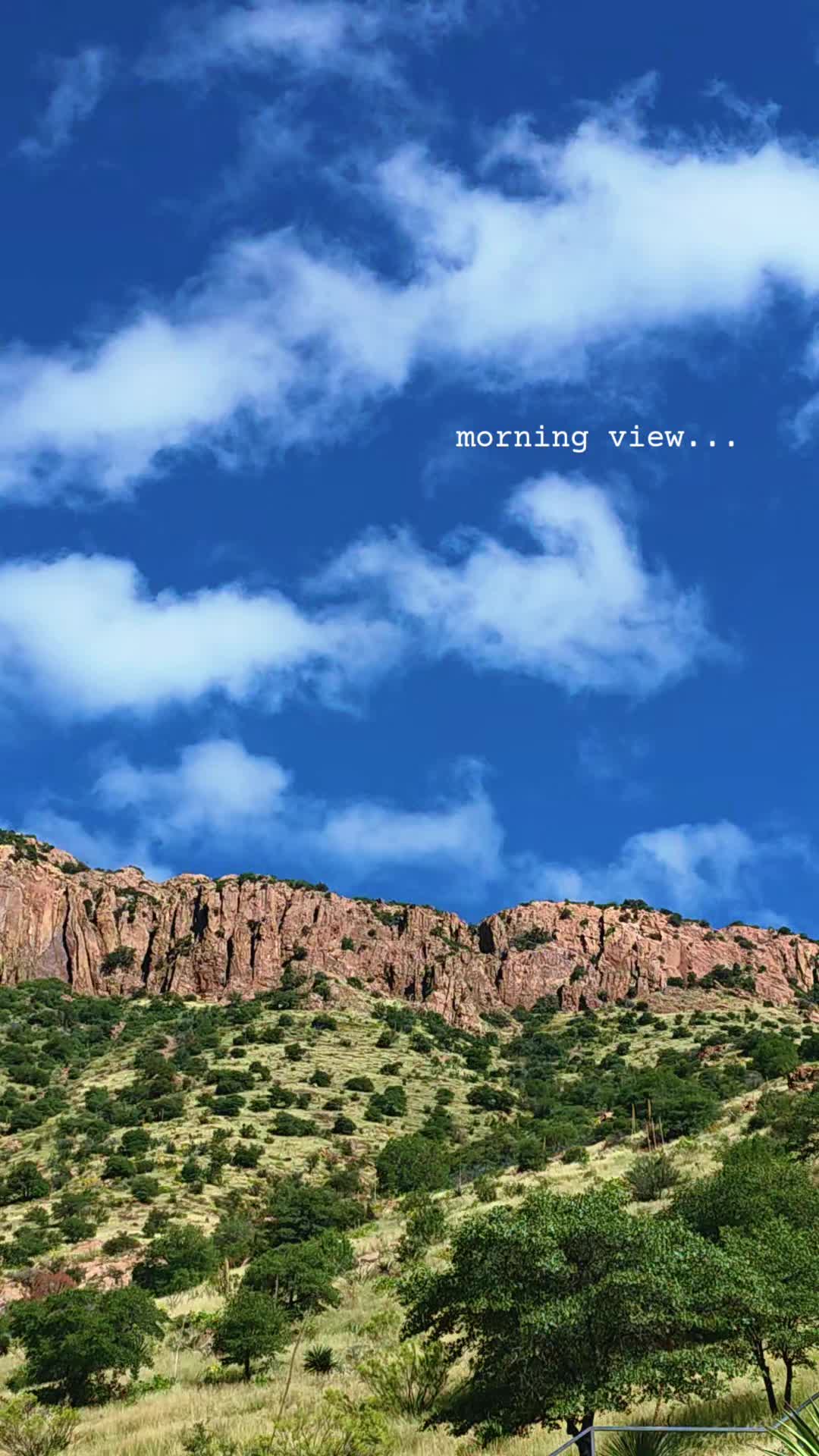 @🌵