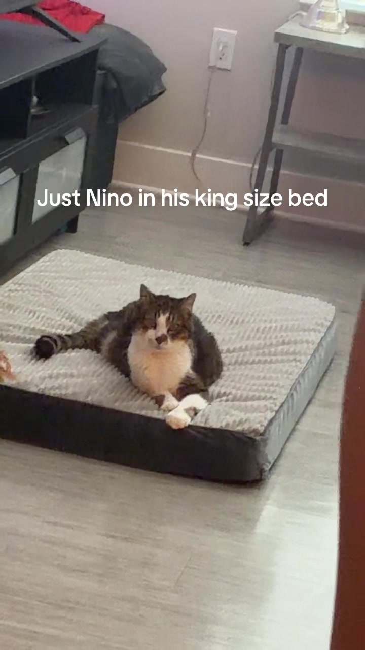 @✼ KRISTI ✼