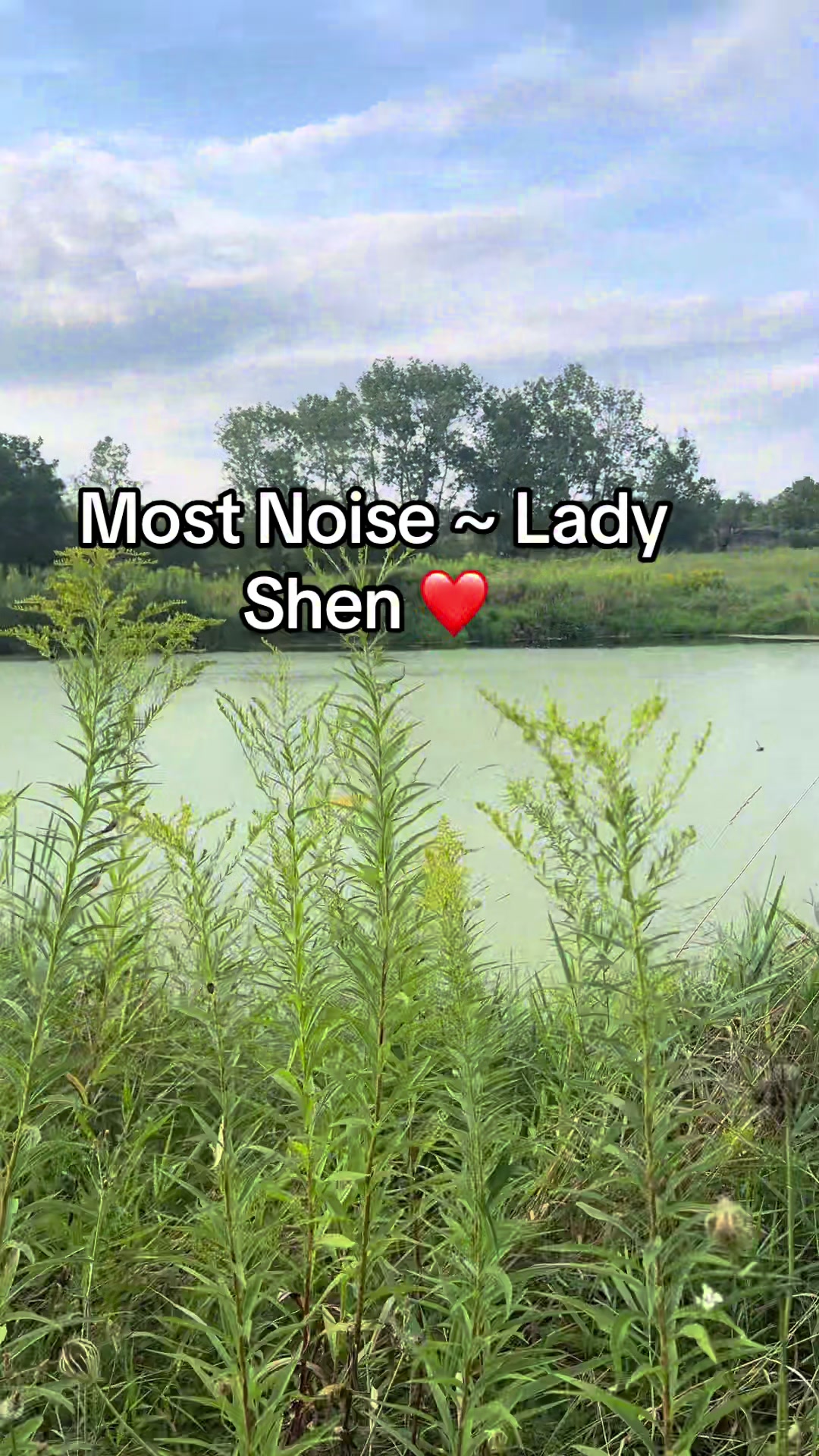 @Lady Shen