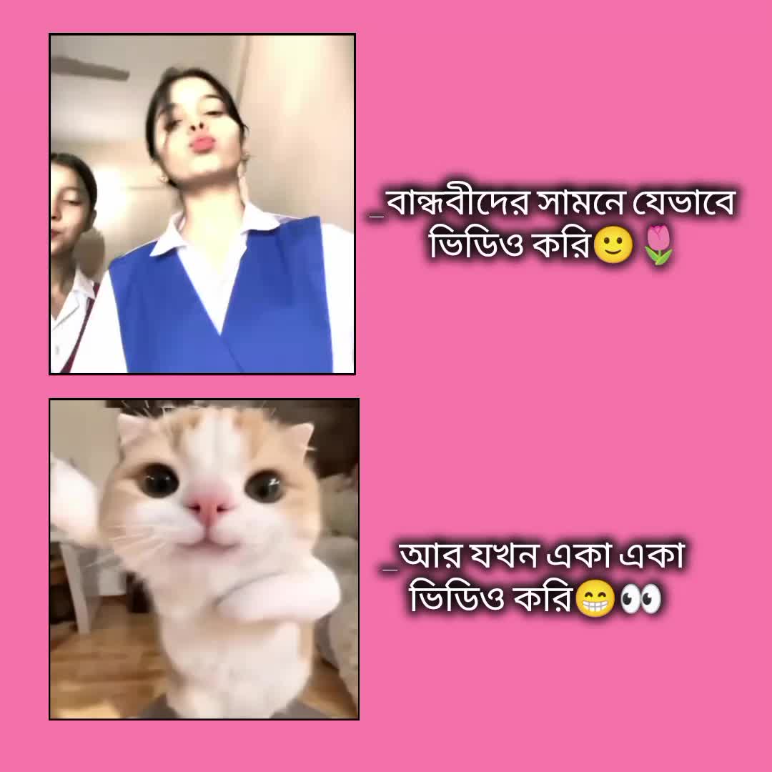 @🐸!!জাতির আপু!!🐸