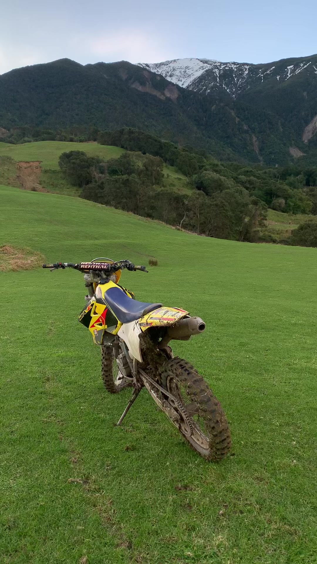 @DRZ Toby🫠