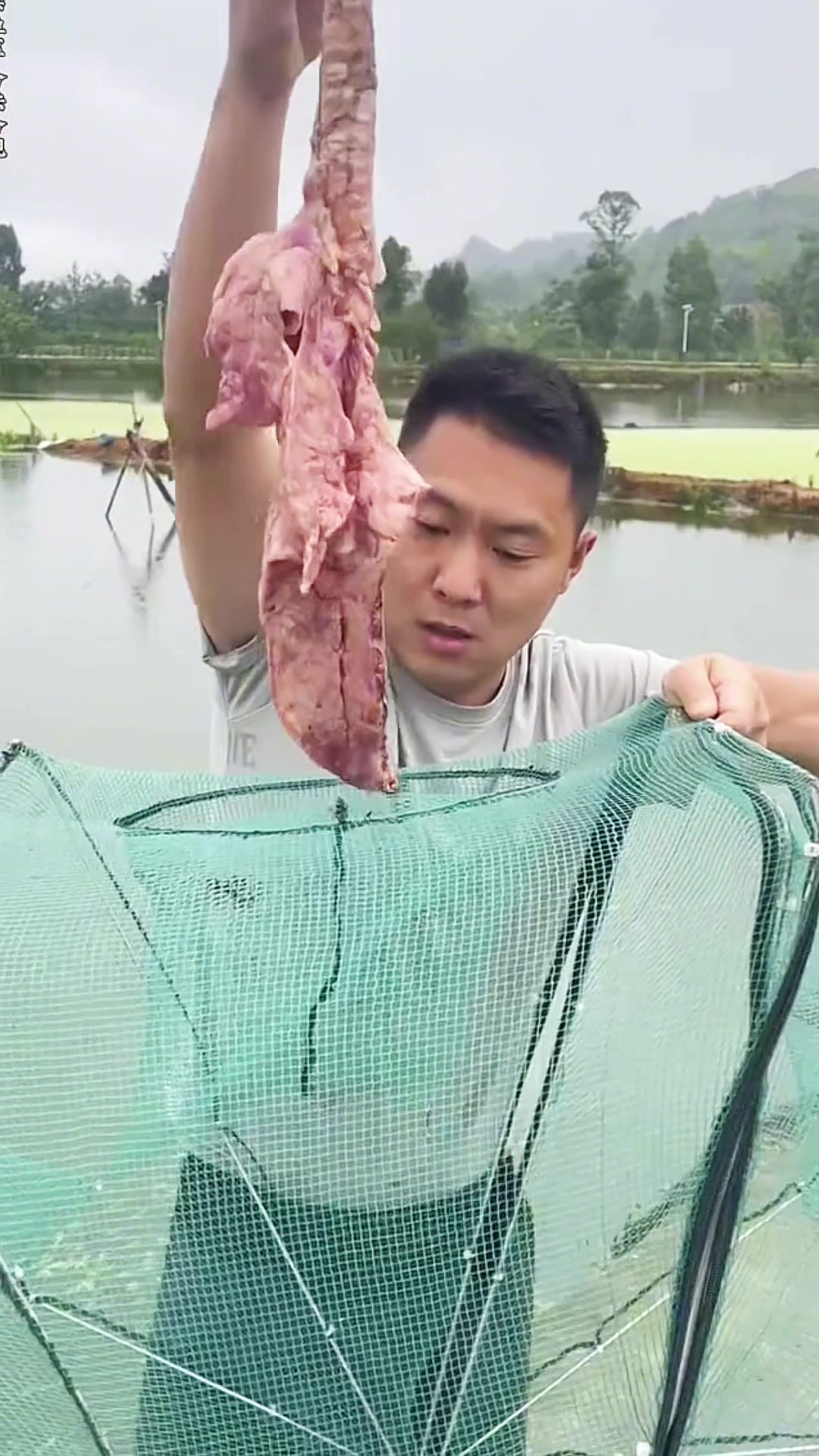 @Fishing King
