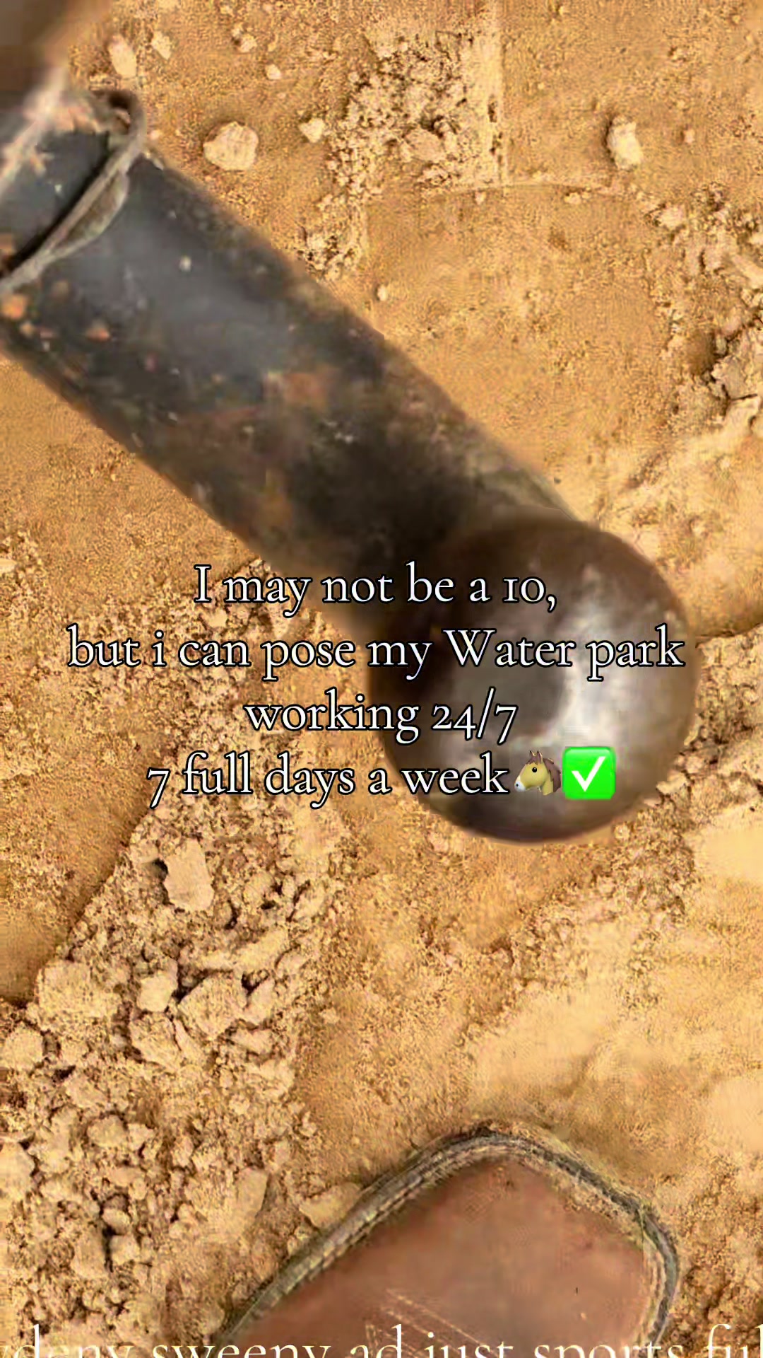 @Springcamyy