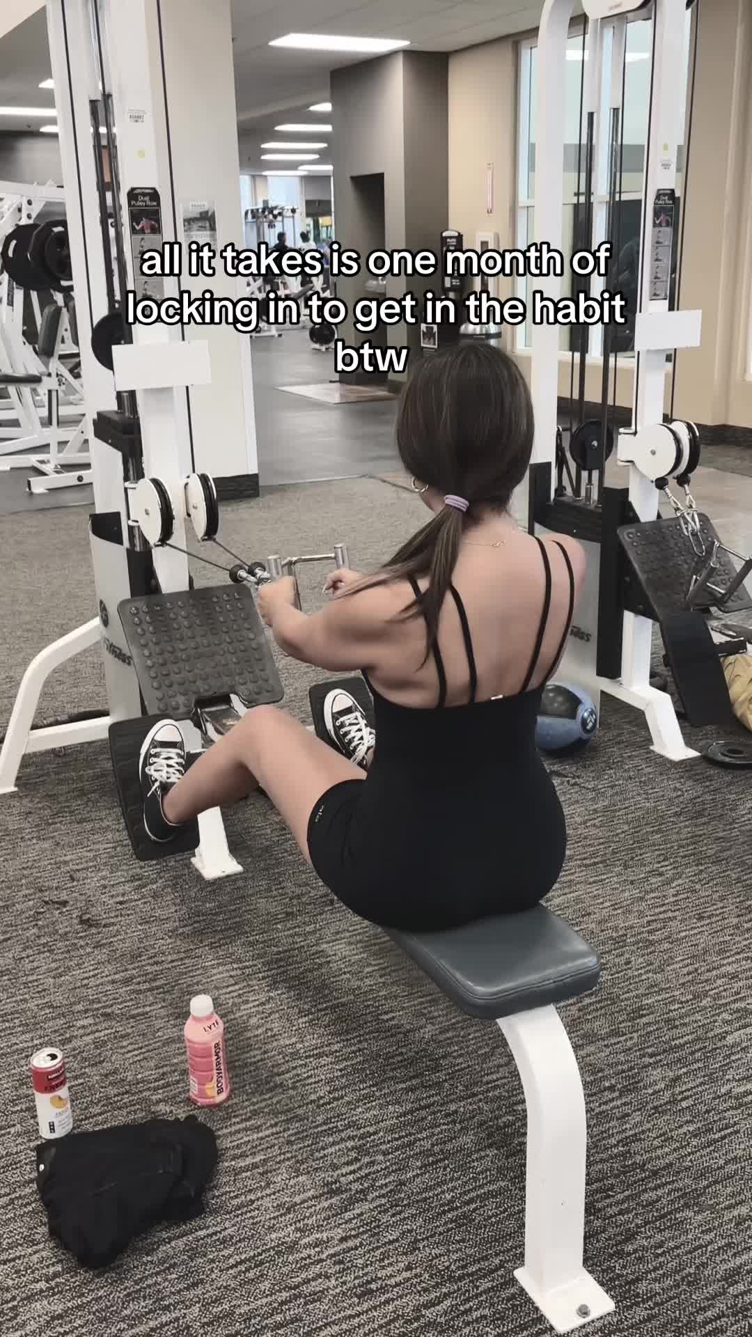@persianmeowmeow2
