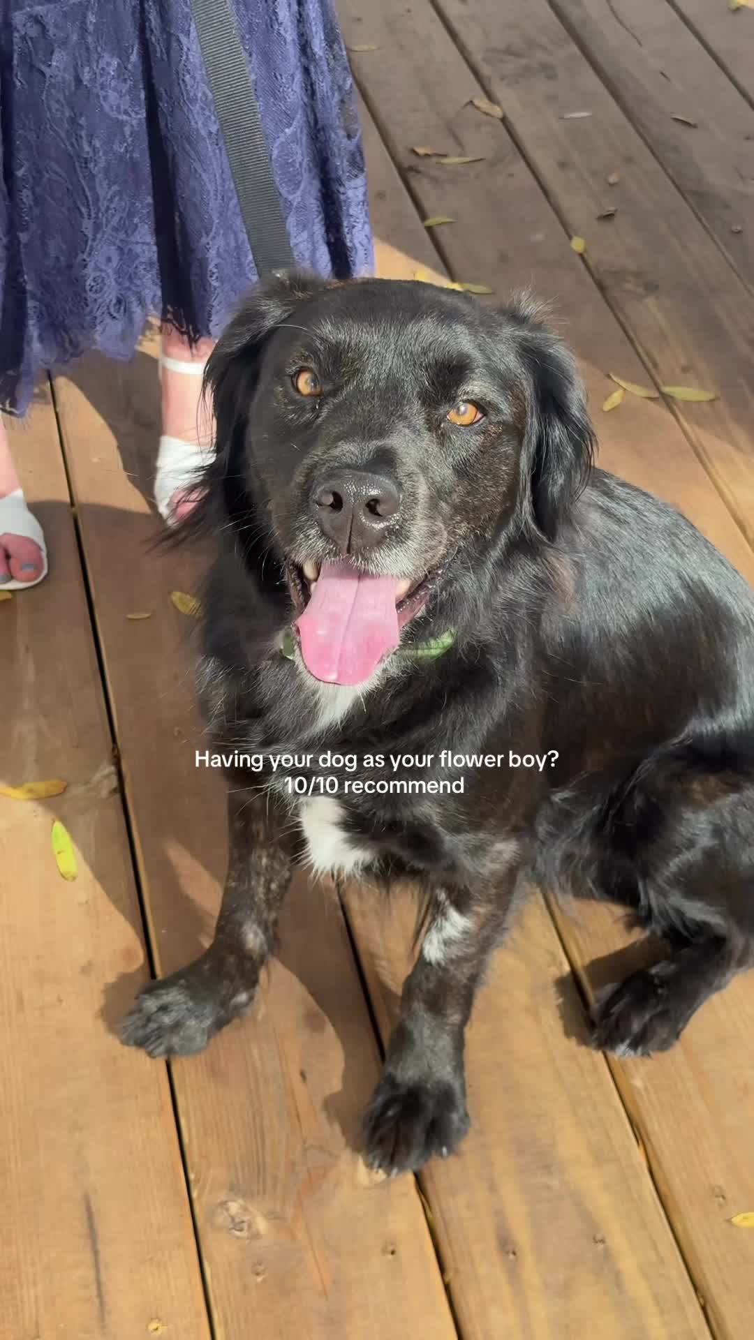 @SMC | Wedding Content Creator
