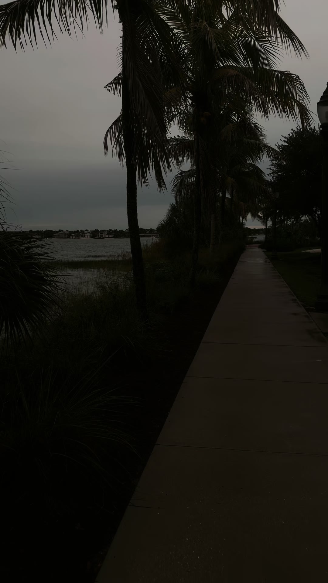 @view