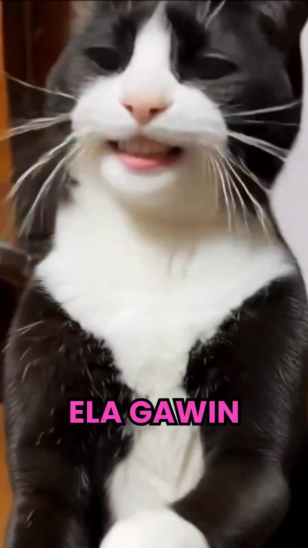 @Ela Gawin