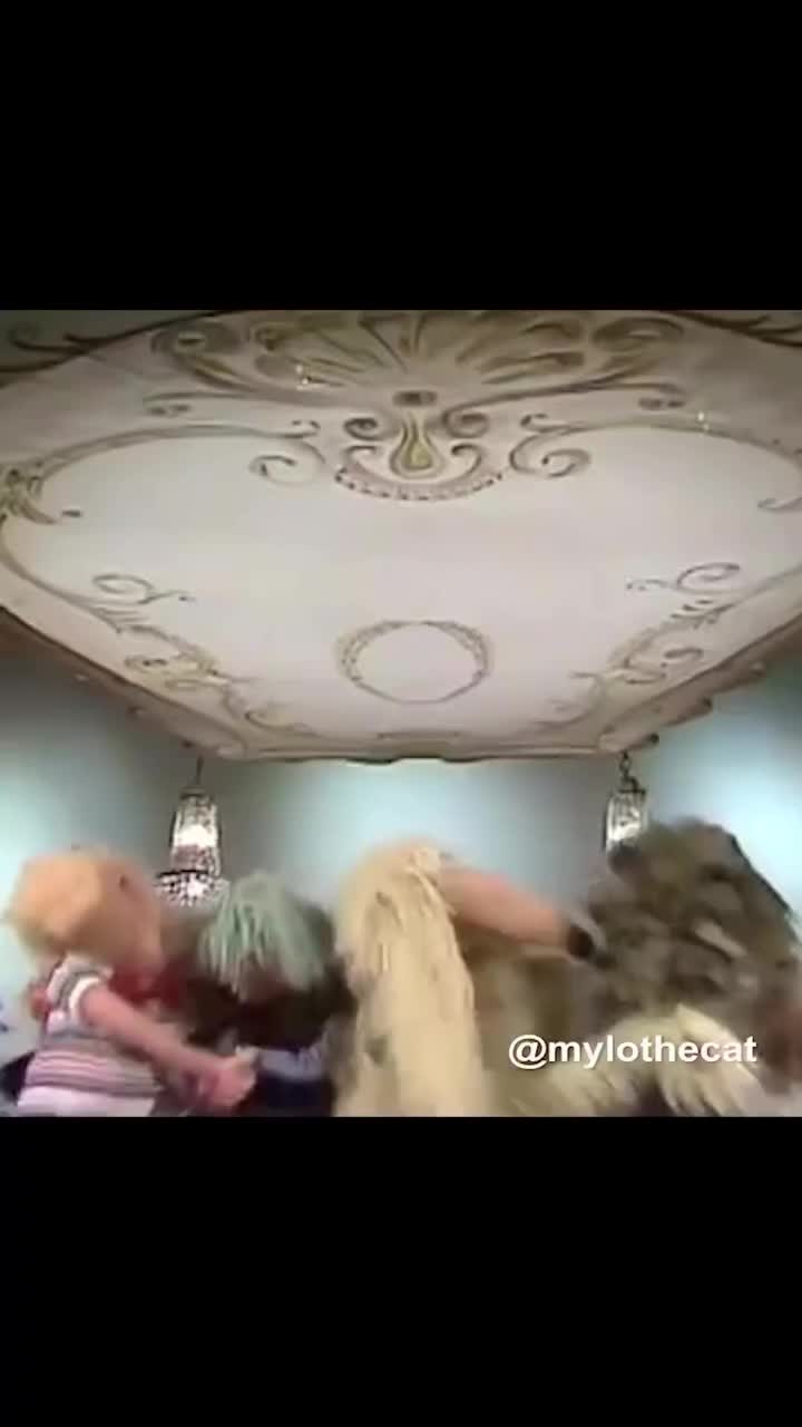 @J0J0TheReaper