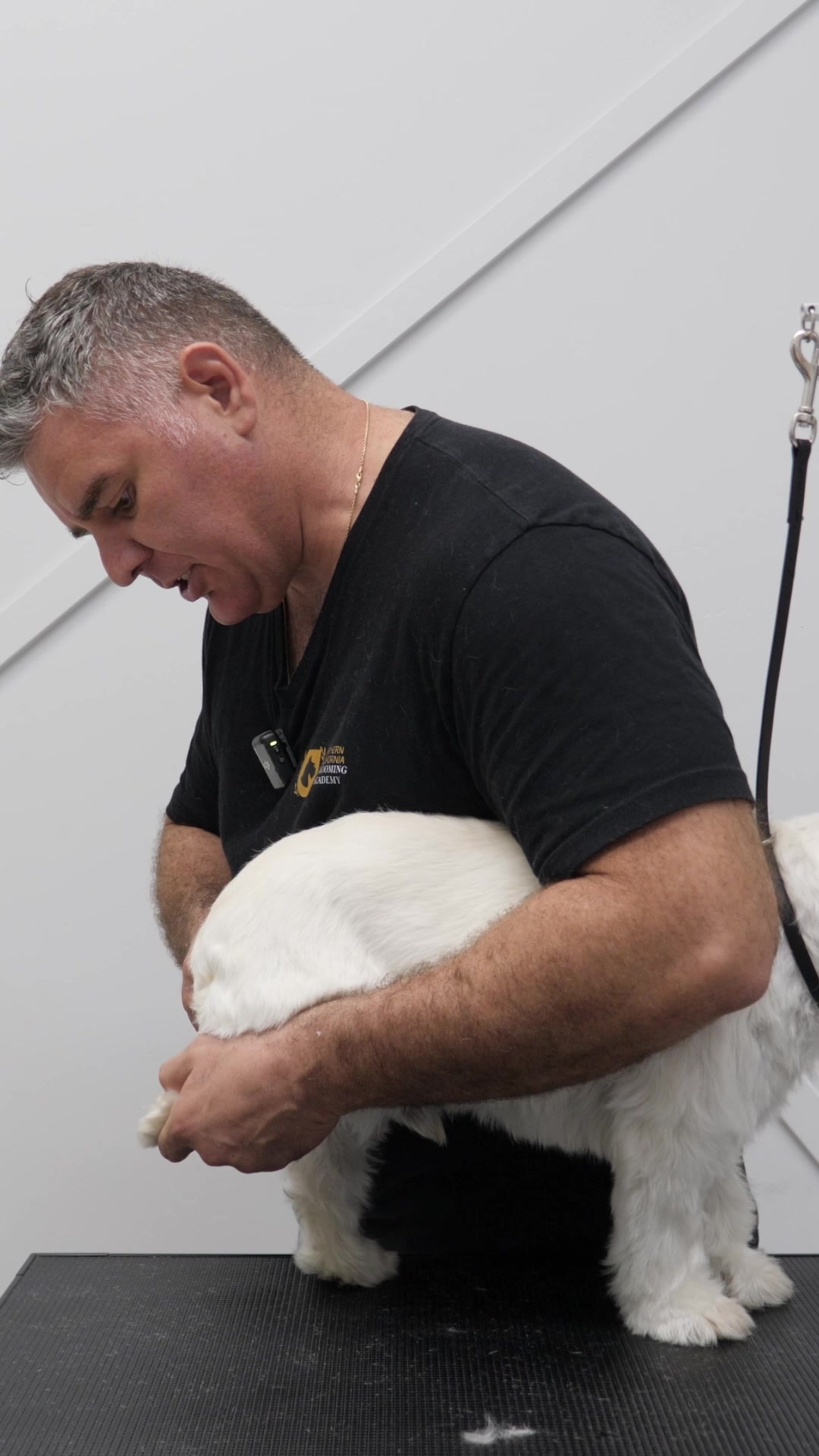 @NorCal Grooming Academy