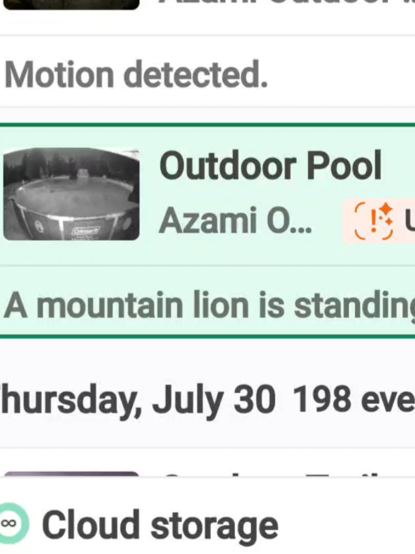 @Omar Azami