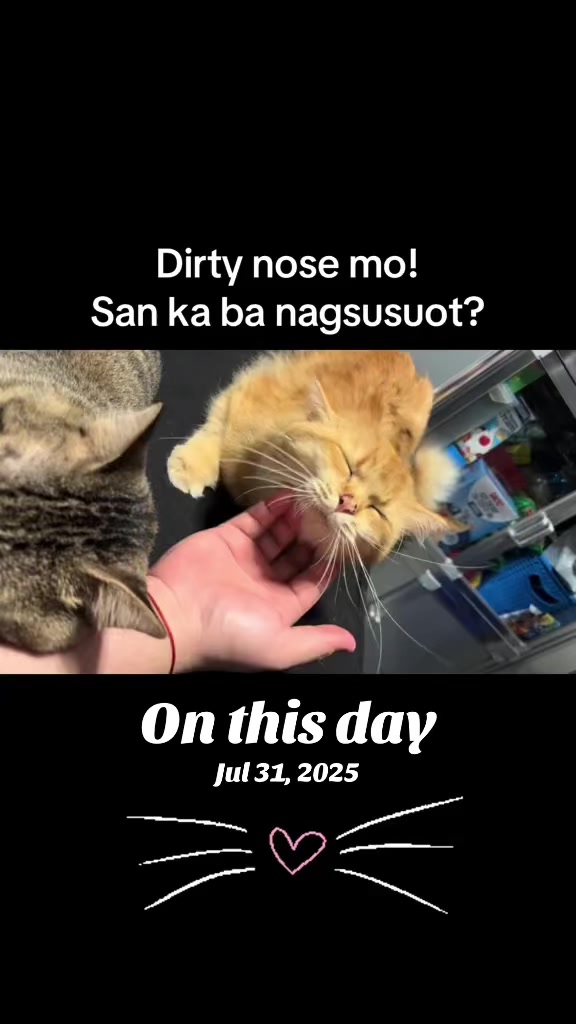 @TheCatFather
