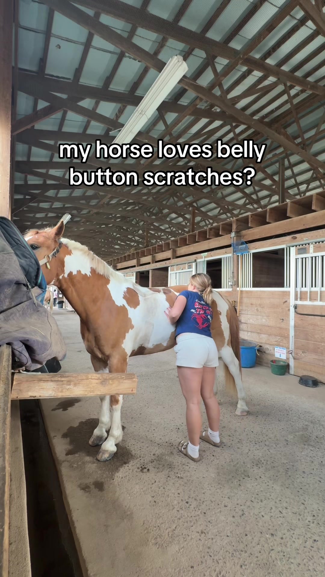 @caitlin folliard🤎🐴