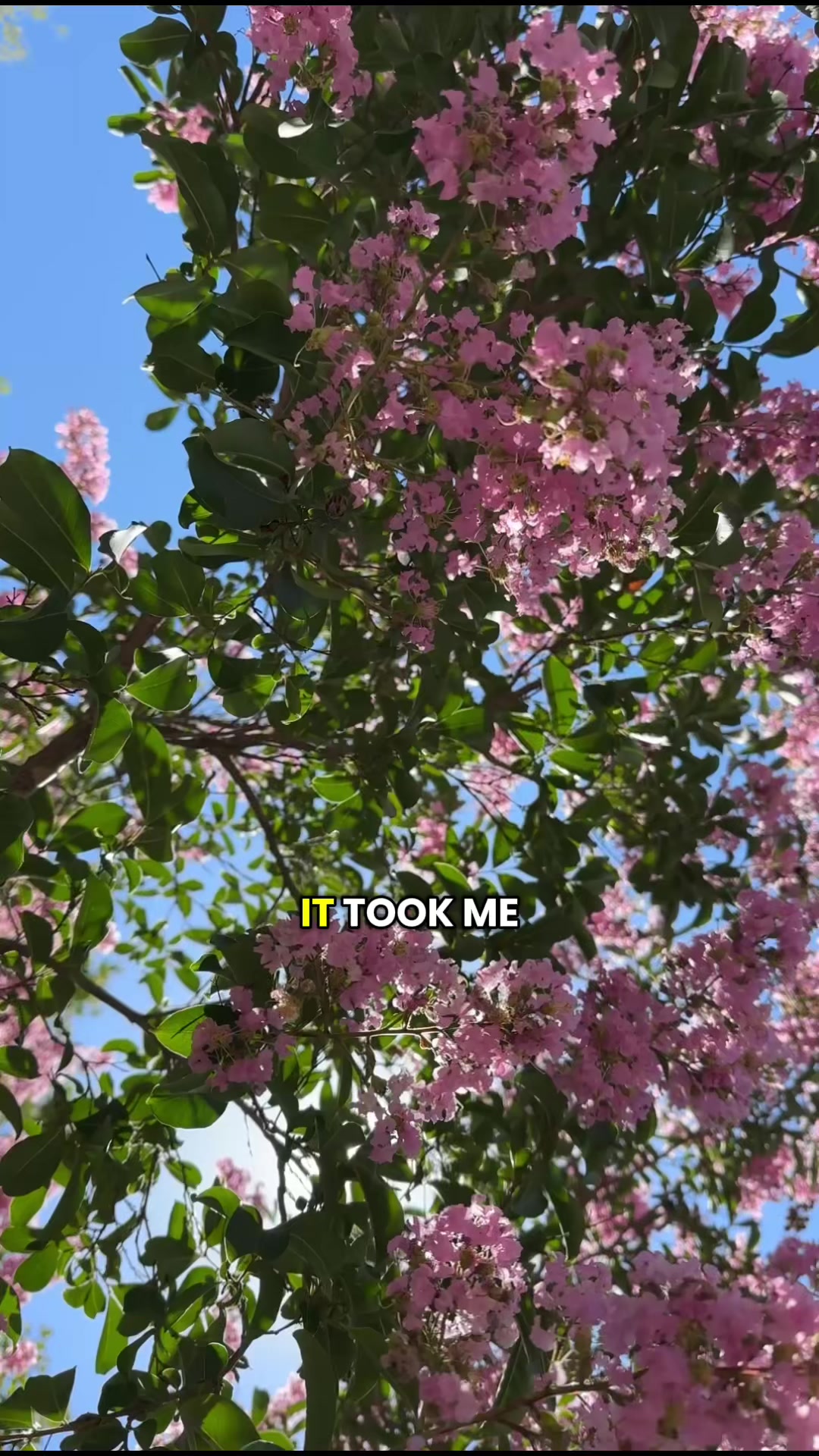 @SimpleHappiness🌞