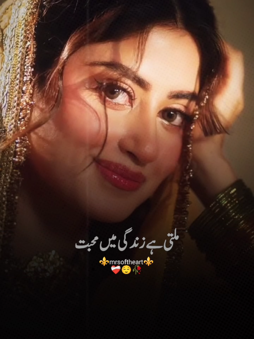 @❤️Seemi_Mughal❤️