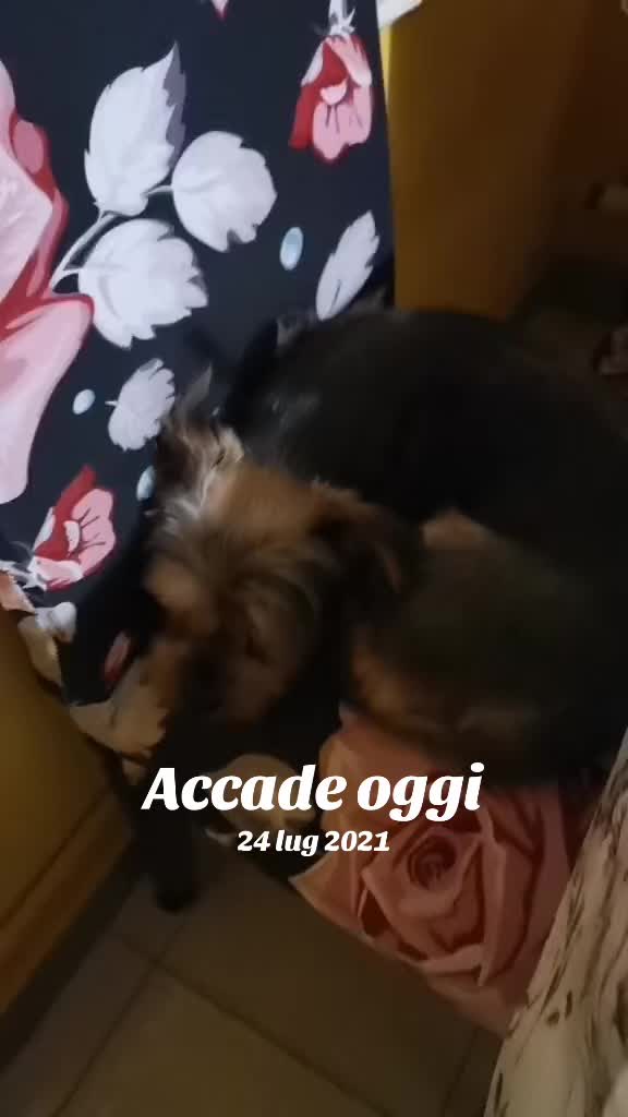 @𝒸𝓇𝒾𝓈𝓉𝒾𝓃𝒶  𝒻𝒶𝒷𝒾ℴ ❤