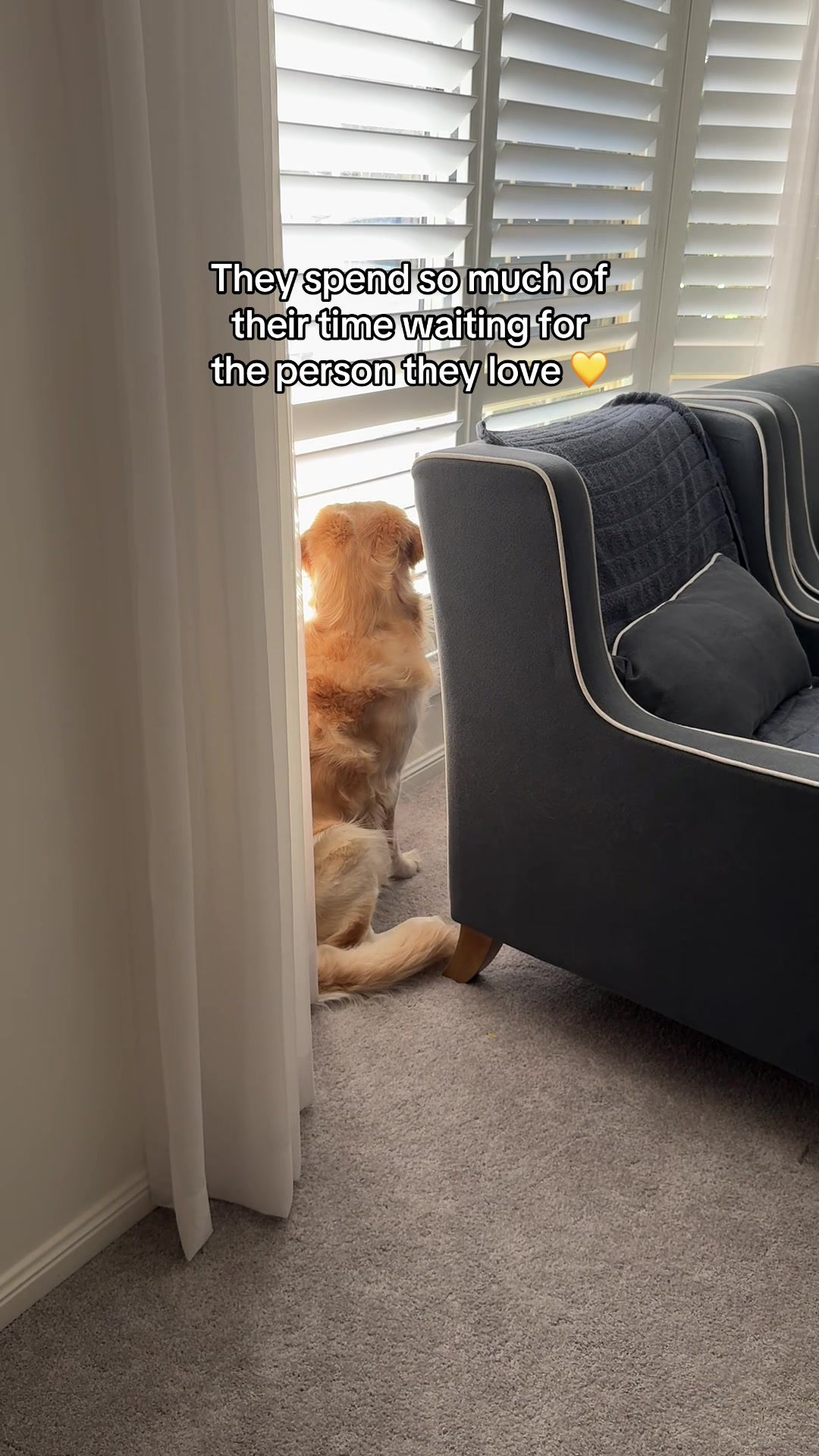 @lunas_golden_life