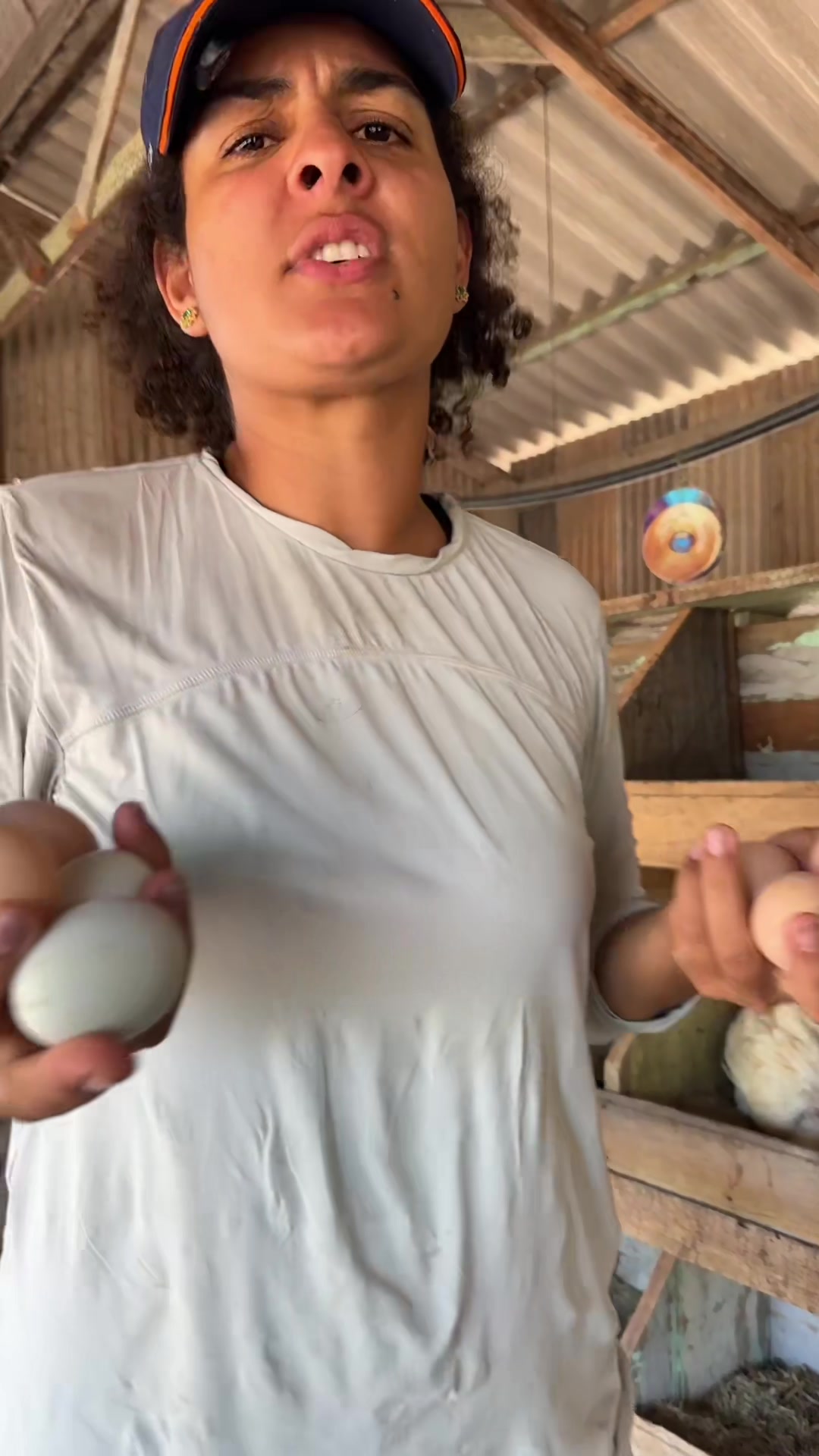 @irmaschacreiras