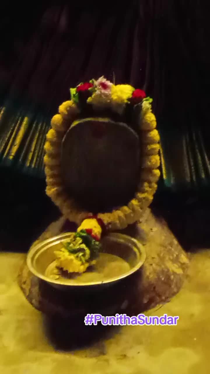 @👑🤍 PUNITHA SUNDAR 🤍👑