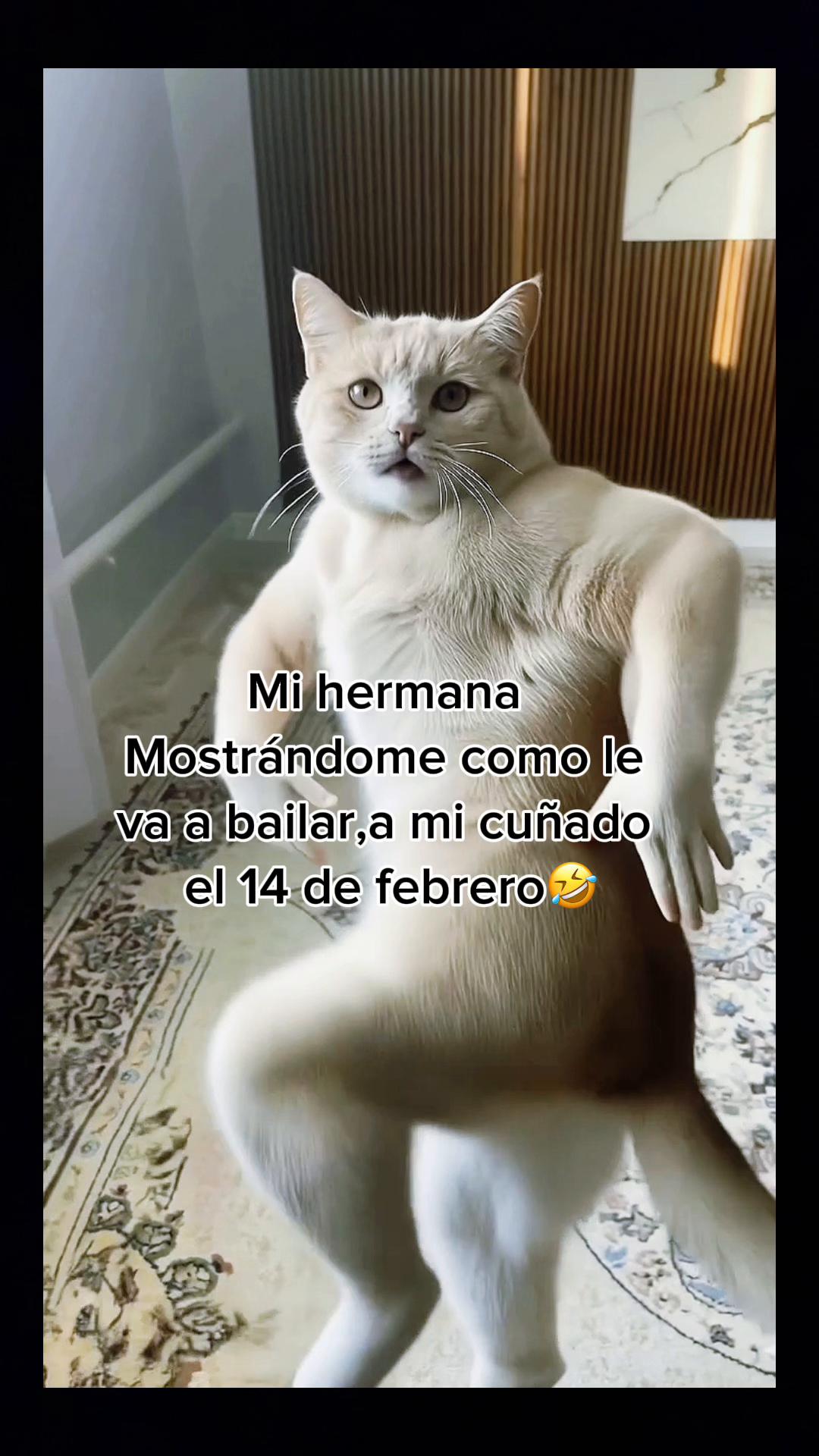@sindyflores730