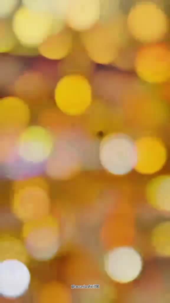 @55555555