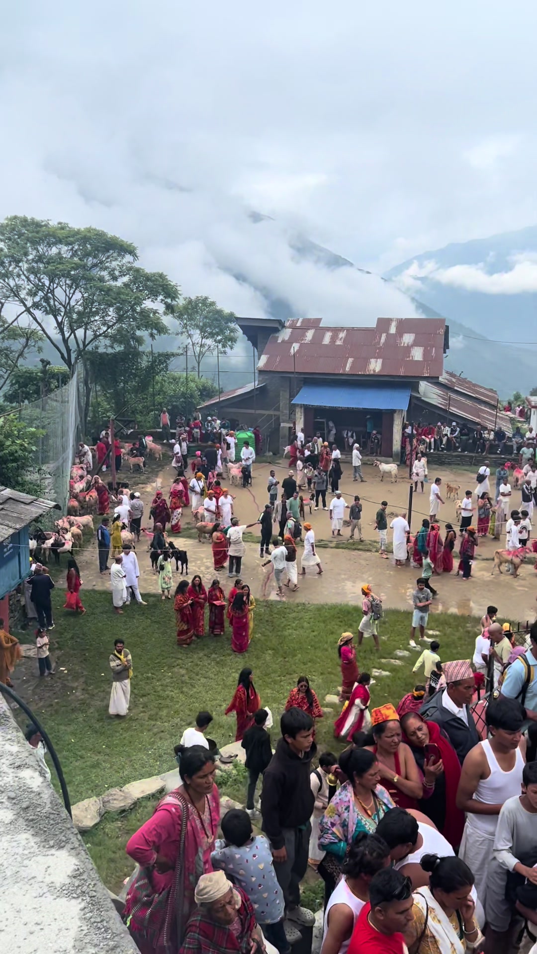 @Shila Khadka Chhetri